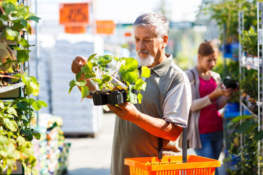 Love gardening? Here’s how you can start a garden in your backyard